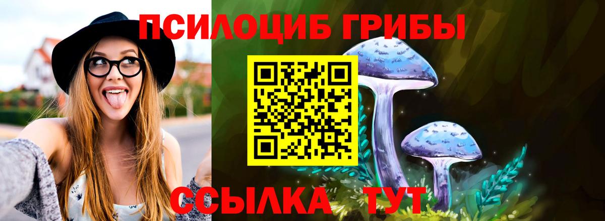 Джанкой  Галлюциногенные грибы Psilocybine cubensis  Галлюциногенные грибы мицелий  где купить наркоту  Вход с VPN 